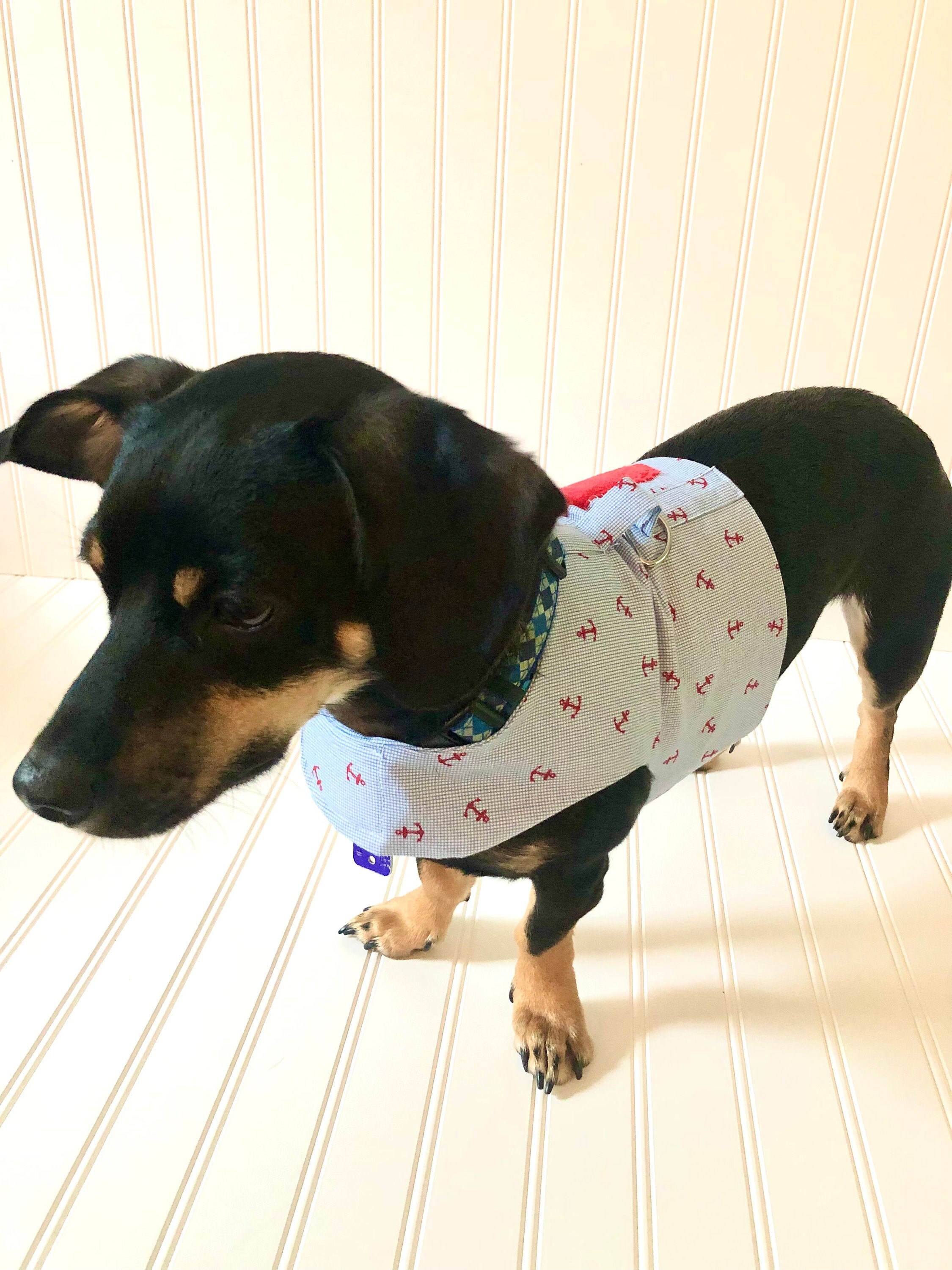 Dachshund Harness Vest Chiweenie Clothes Chihuahua Walking Etsy