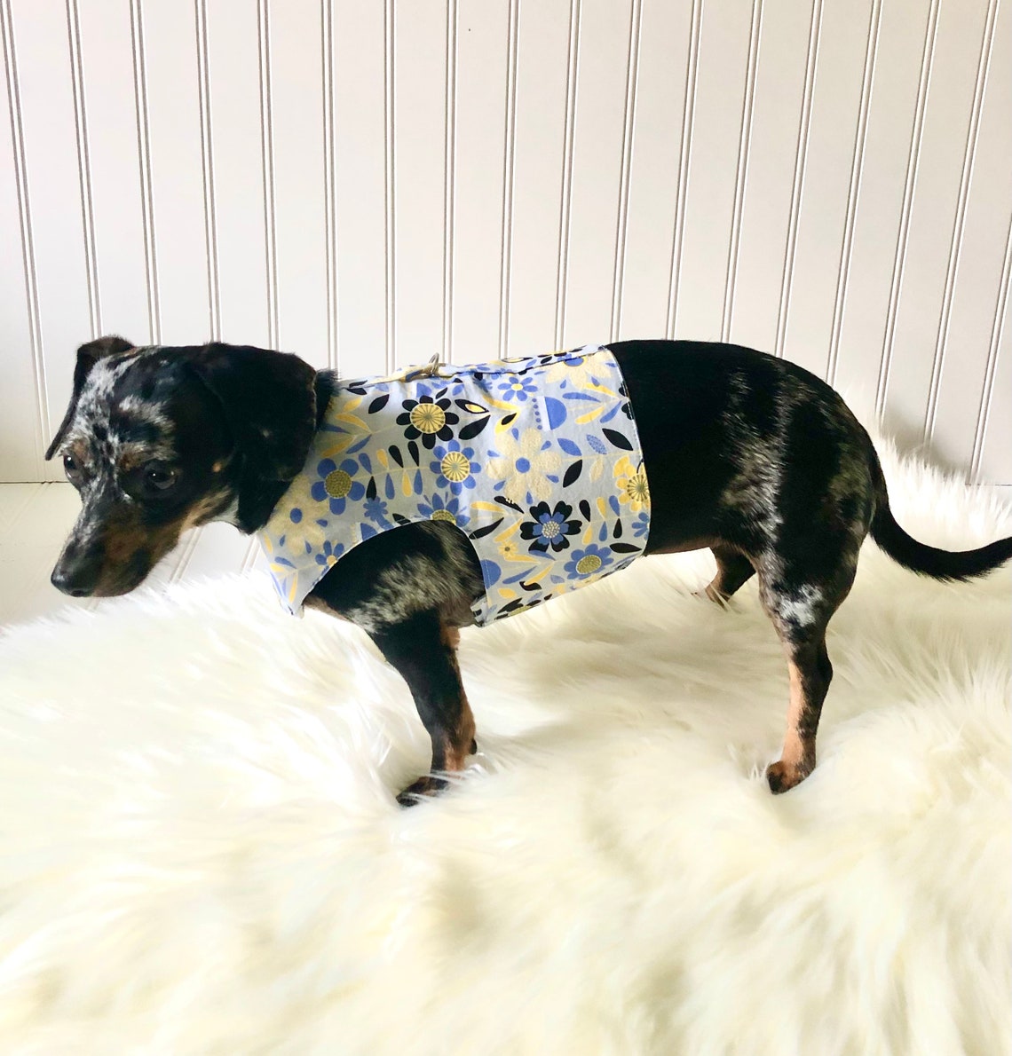 Dachshund Harness Vest Chiweenie Clothes Chihuahua Walking Etsy UK
