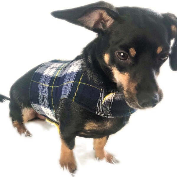 Chiweenie Clothes Etsy