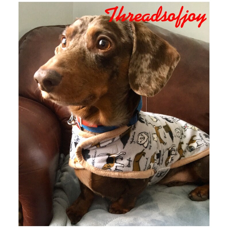 mini dachshund pet supplies
