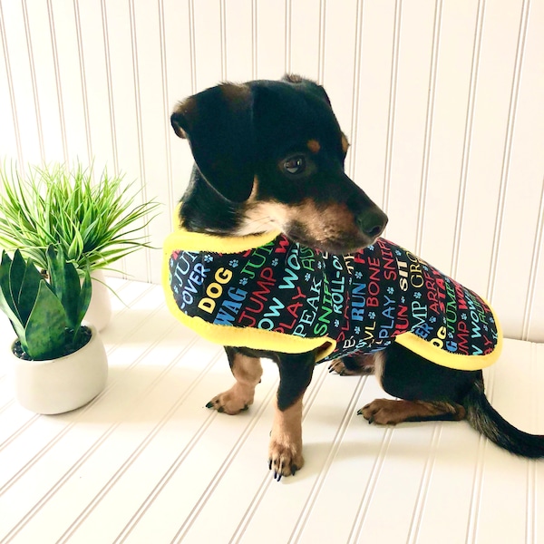 Chiweenie Clothes Etsy