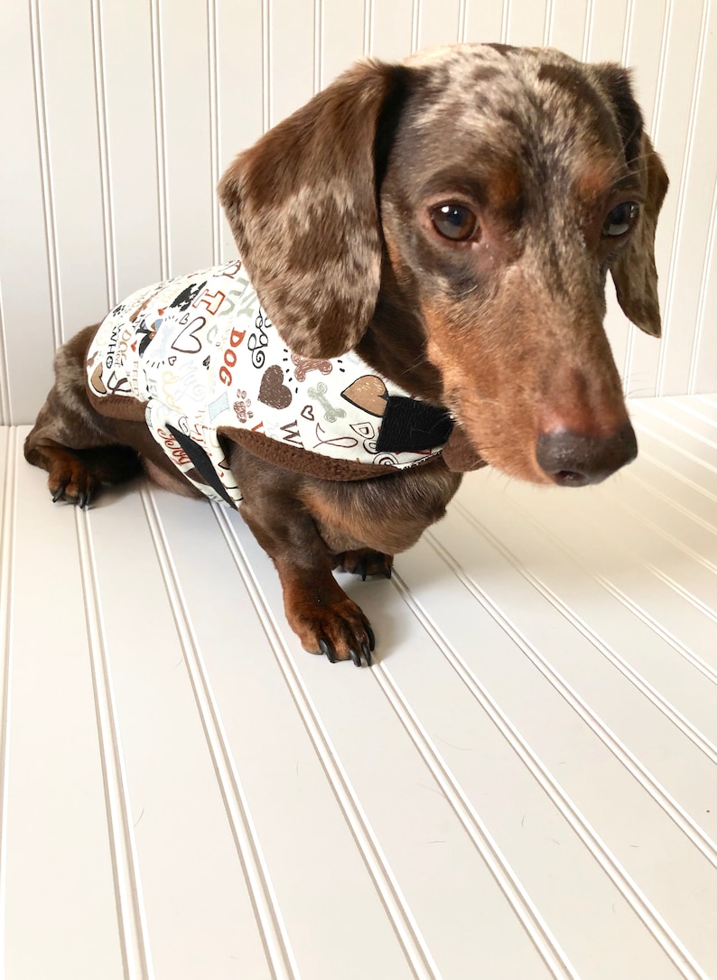 Fall Miniature Dachshund Clothes Dachshund Sweater Dachshund Etsy