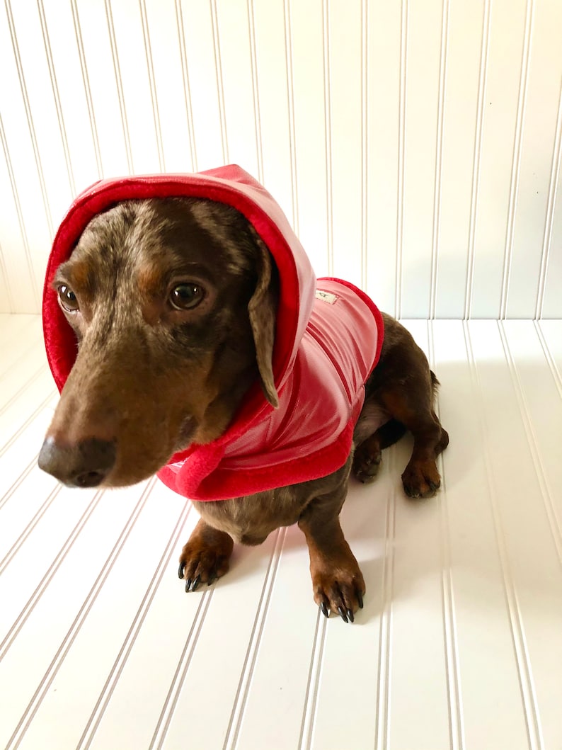 Miniature Dachshund Clothes Small Dogs Waterproof Coat Pet Etsy