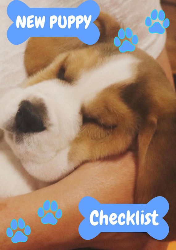 The  Ultimate New Puppy CHECKLIST