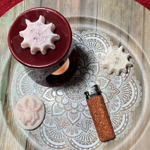 Cinna scented spider wax melts, Cinnamon sugar, Spooky spiderweb soy melts, Halloween home decor, Fall home fragrance, Spooky Season gift