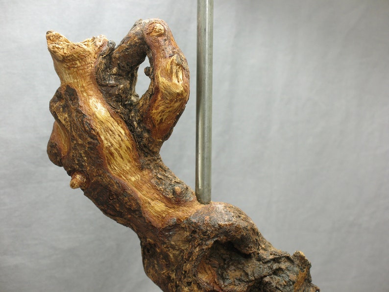 Beautiful twisted tree root table lamp. Tree branch rustic Etsy