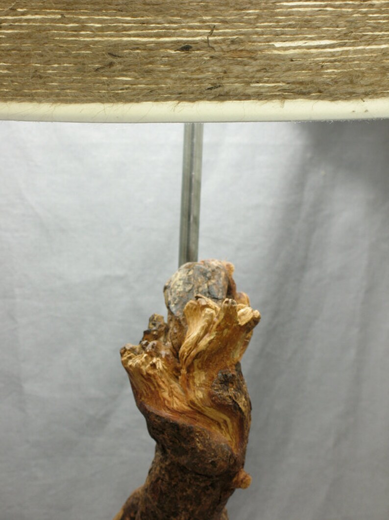 Beautiful twisted tree root table lamp. Tree branch rustic Etsy