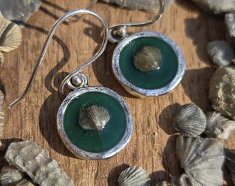 Fossilien Jäger Ohrringe.  Echte Brachiopode Ohrringe.  Geschenk für Palentologen.