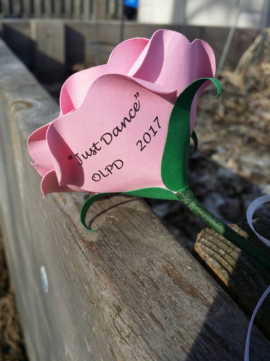 What does school spirit mean to you essay picture