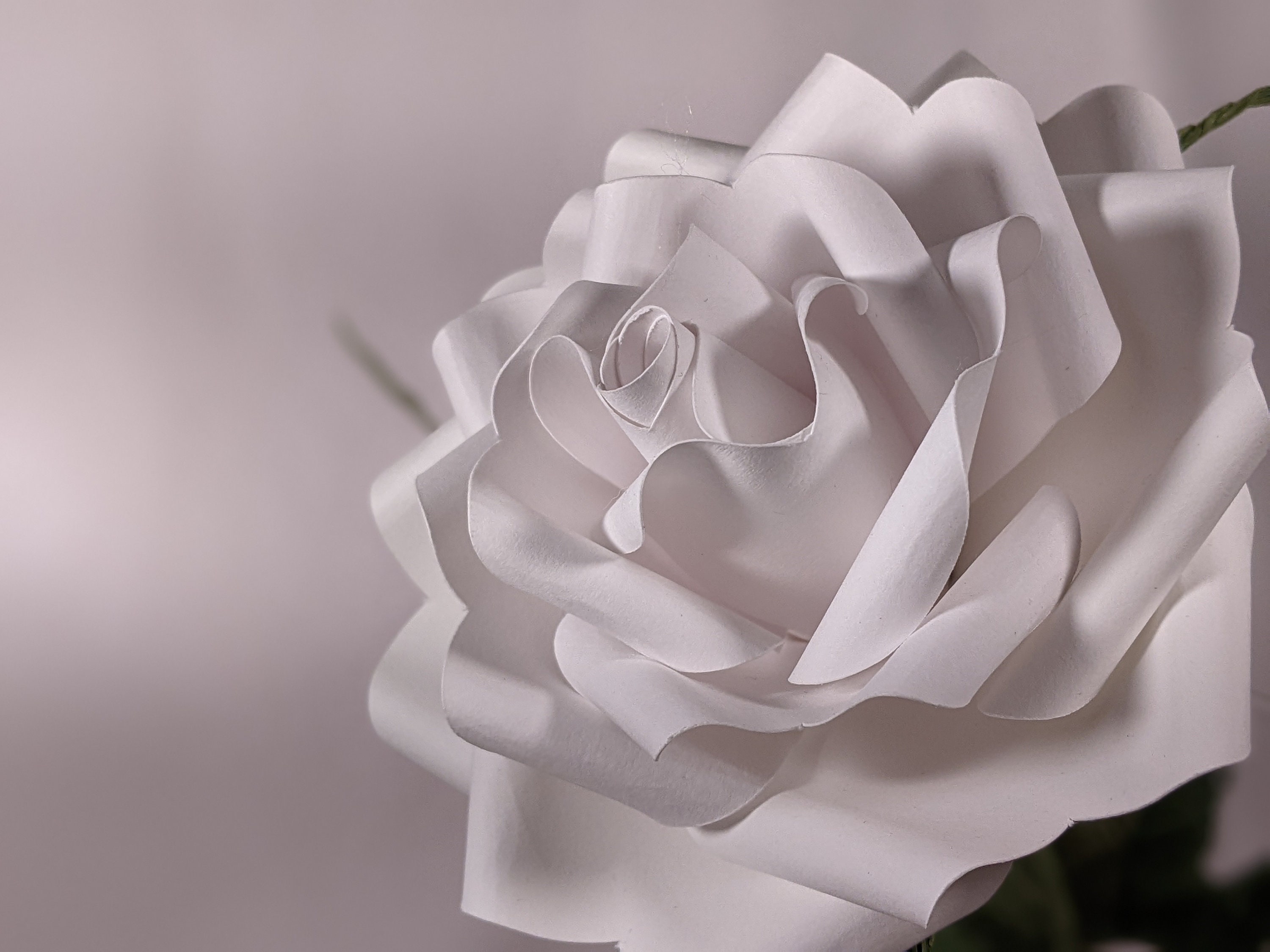Live Paper Roses Dance Recital Paper Rose, Personalized Paper Flower, Keepsake, Long ...