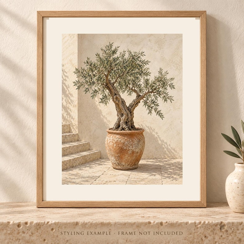 Olive Tree Print, Terracotta Pot Wall Art, Mediterranean Digital Download image 1