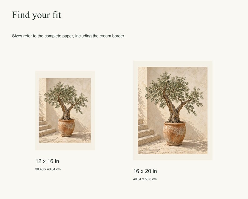 Olive Tree Art Print, Mediterranean Wall Decor, Unframed Matte Poster, 12x16 or 16x20 image 5