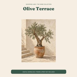 Olive Tree Print, Terracotta Pot Wall Art, Mediterranean Digital Download image 2