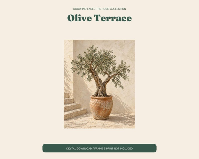 Olive Tree Print, Terracotta Pot Wall Art, Mediterranean Digital Download image 2