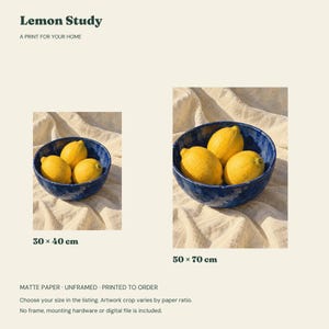 Lemon Still Life Print, Cobalt Bowl Kitchen Wall Art, 30x40 or 50x70 cm Unframed Matte Poster image 2