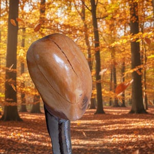 May include: A polished, light brown wooden handle with a smooth, rounded, and slightly elongated shape featuring a visible natural grain and a thin, dark vertical crack running along the upper surface, attached to a dark, textured shaft.