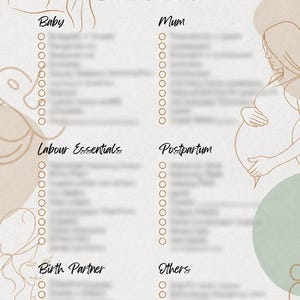 May include: A printed checklist titled The UK Hospital Checklist with sections for Baby, Mum, Labour Essentials, Postpartum, Birth Partner, and Others. The document features line art illustrations of a pregnant person and a baby on a neutral background.