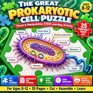 Puede incluir: El rompecabezas educativo The Great Prokaryotic Cell Puzzle muestra un diagrama de una célula bacteriana con etiquetas para la cápsula, pared celular, membrana plasmática, nucleoide, ribosomas, fimbrias, plásmidos y flagelo para edades 8-12.