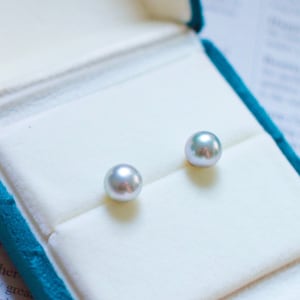 先行予約: アコヤ シルバーグレー ソルトウォーター パール イヤリング // 8 mm // 18K ソリッド イエロー ゴールド
