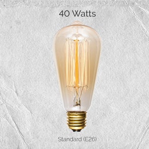 40 Watt Incandescent Edison Bulb