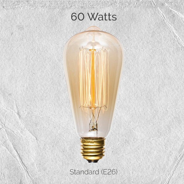 60 Watt Incandescent Edison Bulb