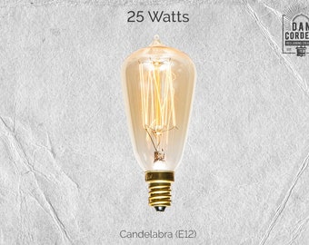 25 Watt Incandescent Candelabra Edison Bulb - Etsy