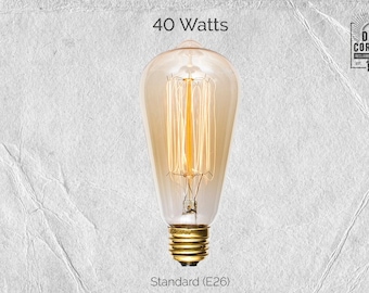40 Watt Incandescent Edison Bulb