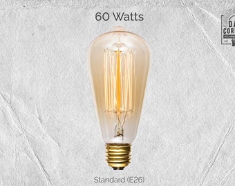 60 Watt Incandescent Edison Bulb