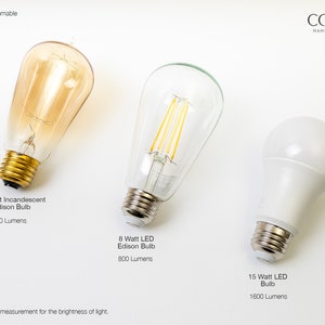 May include: Three different light bulbs, all dimmable. The first is a 60 watt incandescent Edison bulb with 400 lumens. The second is an 8 watt LED Edison bulb with 800 lumens. The third is a 15 watt LED bulb with 1600 lumens. The lumen is a unit of measurement for the brightness of light.