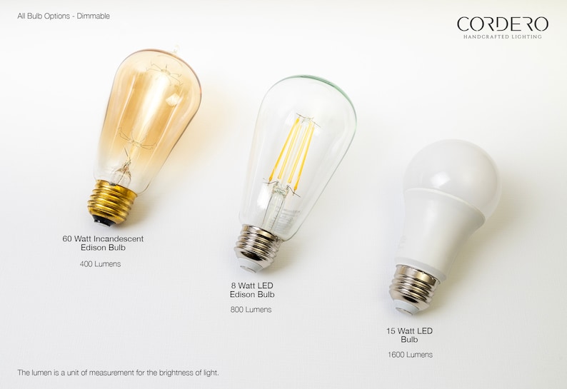 May include: Three different light bulbs, all dimmable. The first is a 60 watt incandescent Edison bulb with 400 lumens. The second is an 8 watt LED Edison bulb with 800 lumens. The third is a 15 watt LED bulb with 1600 lumens. The lumen is a unit of measurement for the brightness of light.