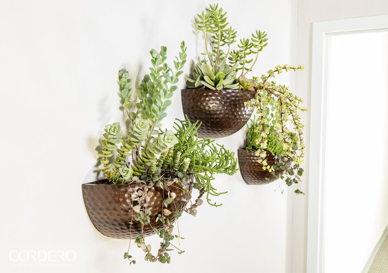 Wooden Wall Planter Belmont image 9