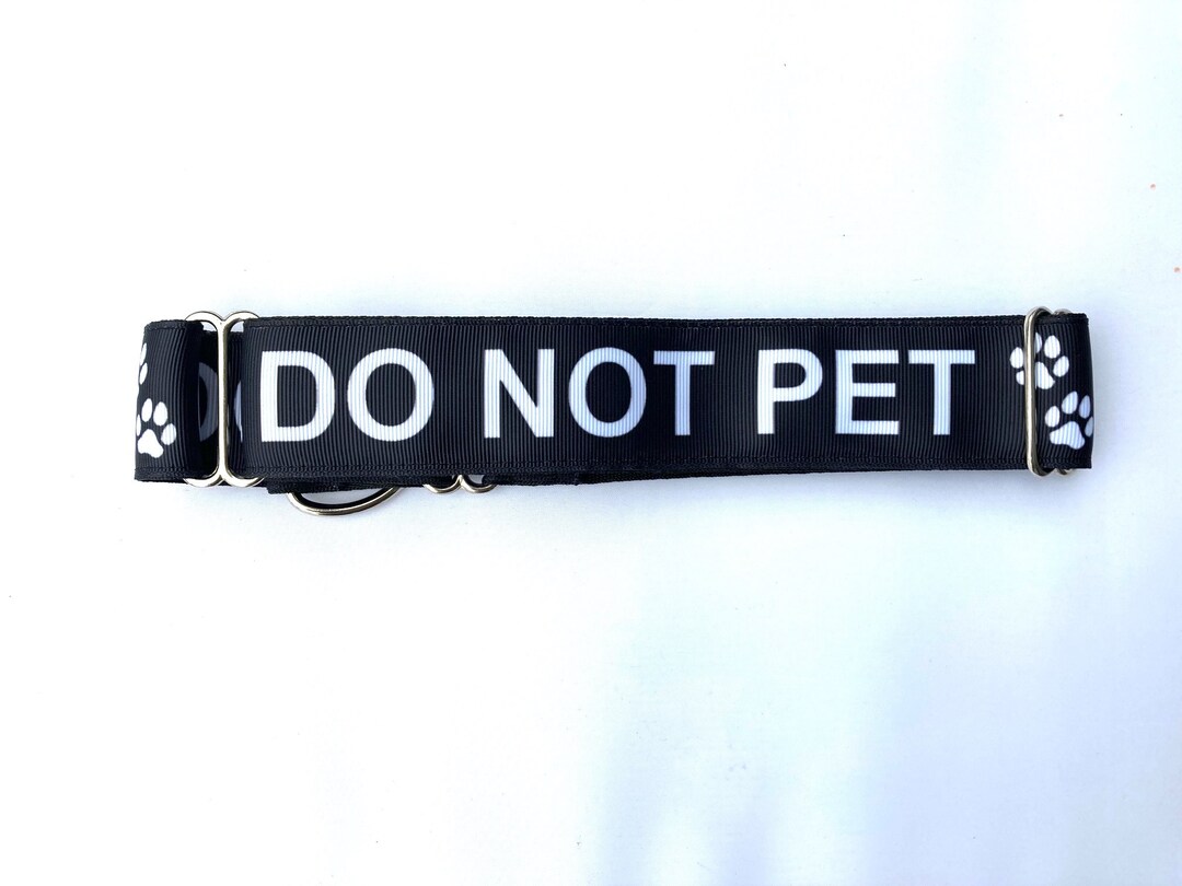 1.5 DO NOT PET Buckle Collar Do Not Pet Dog Collar Do Etsy