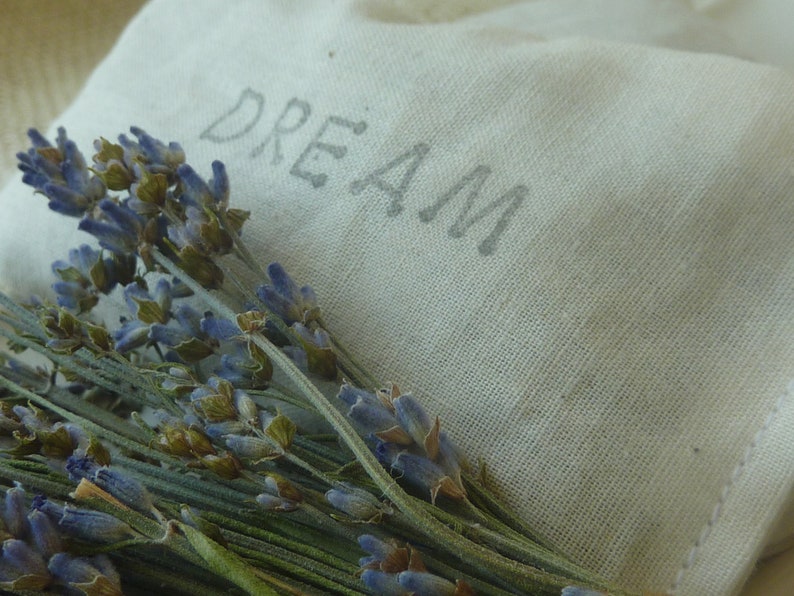 TWO Herbal DREAM Pillows... Pillow Scent or Linen Scent... an Etsy