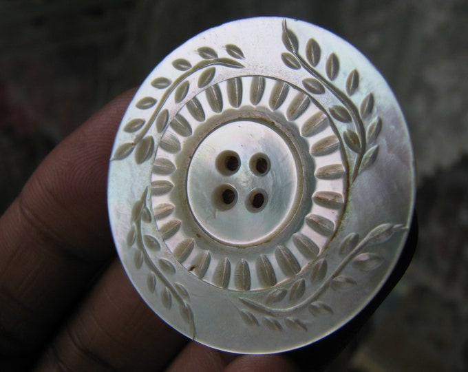 Antique Carved Shell Button, Antique Mother of Pearl Button, White ...