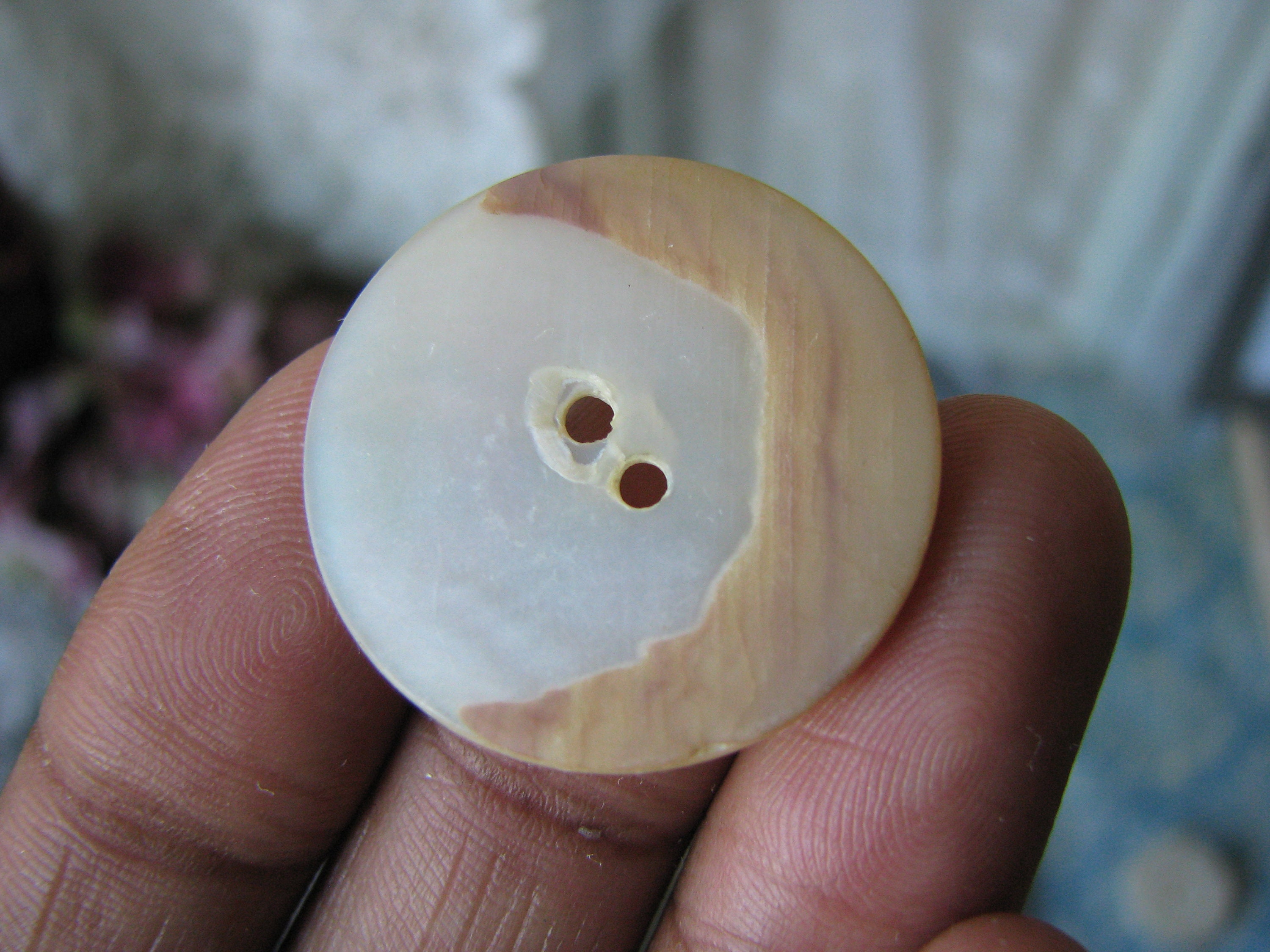 Antique Carved Mother of Pearl Button, Victorian Shell Button - Etsy