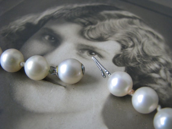 Vintage Glass Pearls Necklace, Woolworth Pearl Ne… - image 6