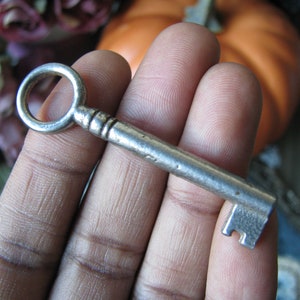 Decoración antigua de Halloween, llave francesa antigua, llave de esqueleto antiguo, llave antigua grande, llave de boda, ficha de boda, ficha de amor, puerta, tronco,