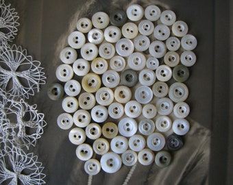 Small Antique Carved Shell Buttons, Antique Mother Of Pearl Buttons, Mother Of Pearl Buttons, Victorian Carved Buttons