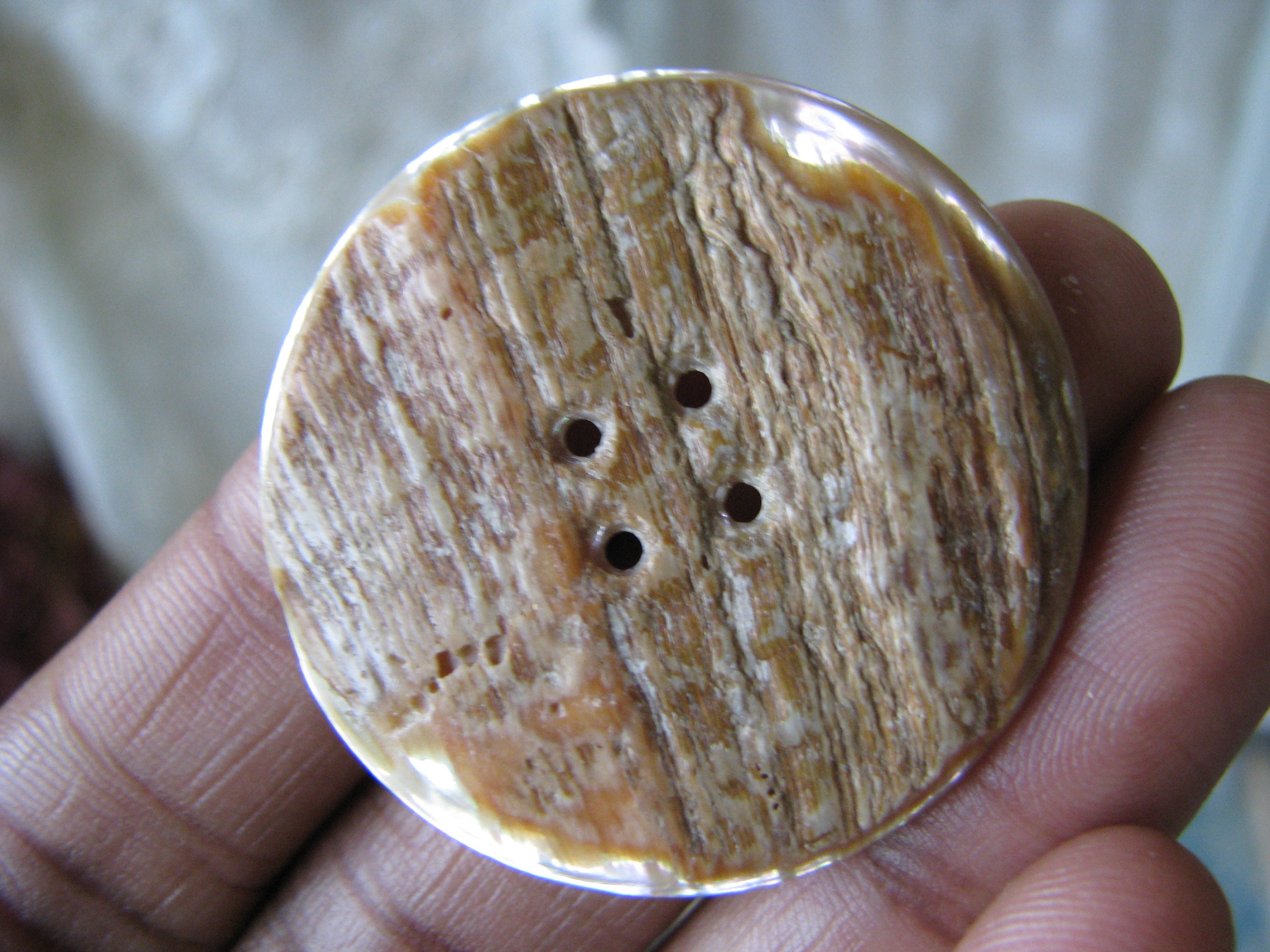 Antique Carved Mother of Pearl Button, Victorian Pink Shell - Etsy