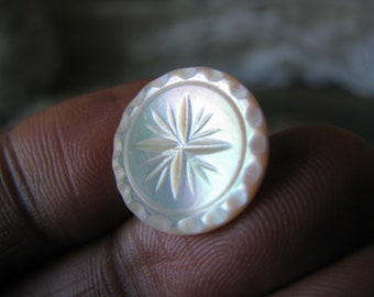 May include: A white mother-of-pearl button with a starburst design. The button has a scalloped edge.
