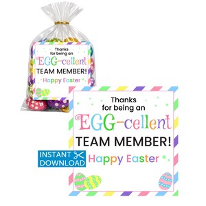 Easter Team Member Gift Tags, Easter Treat Tag, Team Appreciation, Team Thank You, Eggcellent, Printable