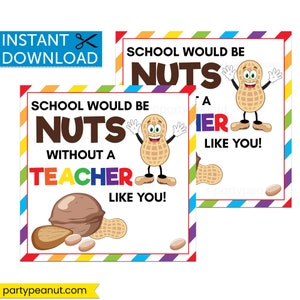 Nuts Gift Tag, Teacher Appreciation Week, Teacher Gift, Teacher Nut Gift, Thank You Tags, Gift For Teacher Like You, Peanut Gift, Printable