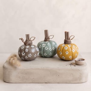Puede incluir: Tres calabazas decorativas pequeñas y redondas en color marrón, verde salvia y amarillo mostaza, pintadas a mano con motivos florales blancos. Los tallos son ramas de canela envueltas en cordel, dispuestas sobre una superficie plana.