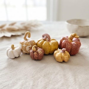 May include: A collection of six small decorative pumpkins in various colors including white, gold, and reddish-brown. Each pumpkin features a distinct stem and textured surface, with some displaying metallic gold accents and speckles.