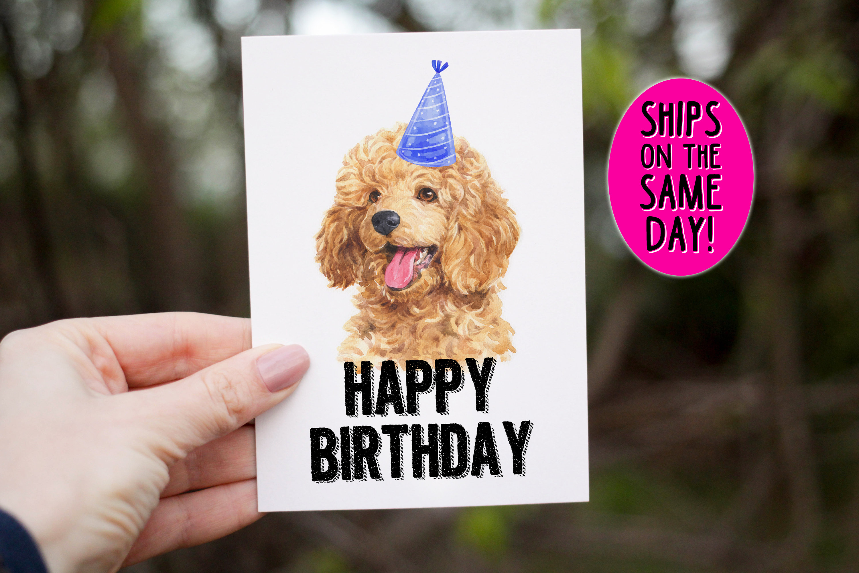 same day shipping toy poodle birthday card happy birthday