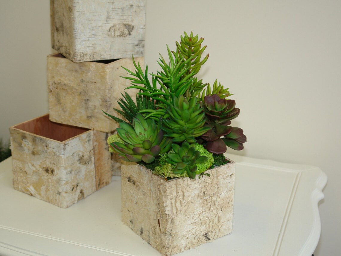 rustic natural birch bark wood vases basket flower pot home Etsy