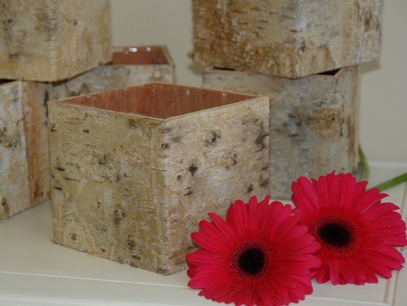 Rustic natural birch bark wood vases basket flower pot home Etsy