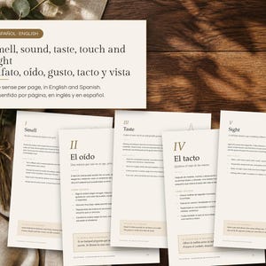 May include: A collection of five printed pages featuring text in English and Spanish, titled Smell, sound, taste, touch and sight. Each page is numbered with Roman numerals and contains descriptive text about sensory experiences.