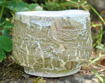 May include: A white ceramic bowl with a crackled glaze and a rough, textured surface. The bowl is sitting on a rock covered in moss.