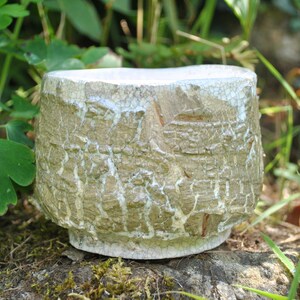 Könnte beinhalten: Eine weiße Keramikschüssel mit craquelé-Glasur und einer rauen, strukturierten Oberfläche. Die Schüssel steht auf einem mit Moos bewachsenen Stein.